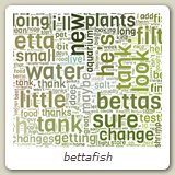bettafish