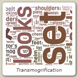 Transmogrification